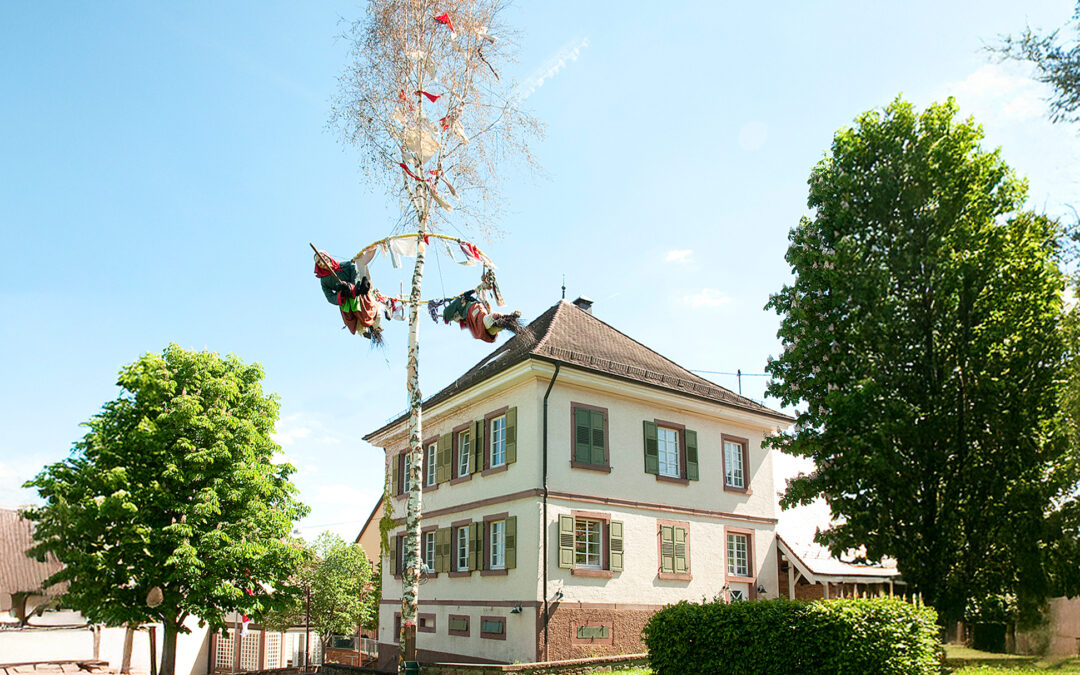 DAS ist Heidis Muster Beitrag