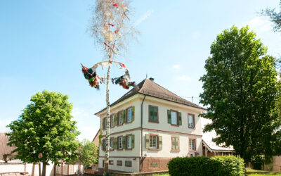 DAS ist Heidis Muster Beitrag